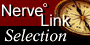NerveLink